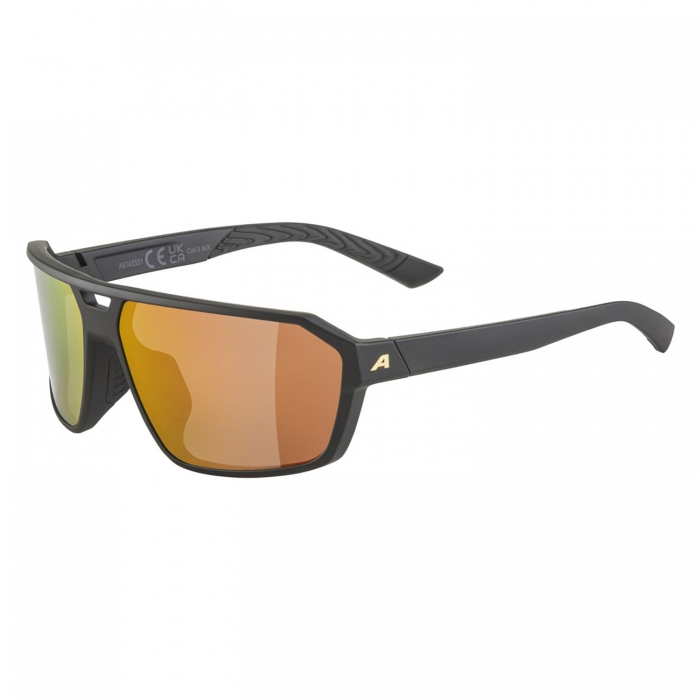 Очки солнцезащитные ALPINA Swift Black-Gold Matt/Gold Mirror Cat.3