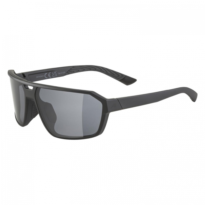 Очки солнцезащитные ALPINA Swift Black Matt/Smoke Black Cat.3