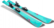 Горные лыжи с креплениями ELAN 2022-23 Wildcat  76 Ls + ELW 9.0 Shift