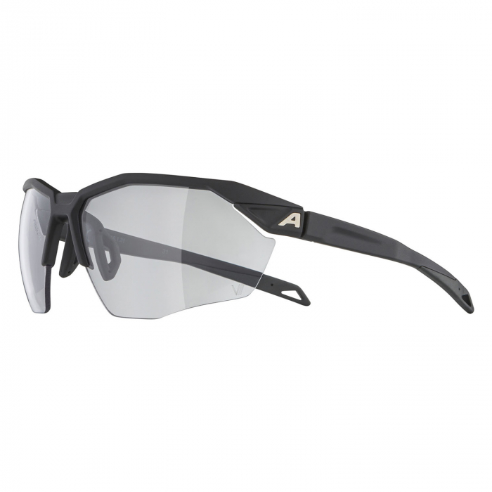 ���� �������������� ALPINA Twist Six HR V Black Matt/Varioflex Black Cat.1-3 Fogstop