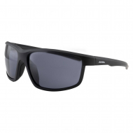 ���� �������������� ALPINA Defey Black Matt/Black Cat.3