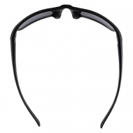 ���� �������������� ALPINA Defey Black Matt/Black Cat.3