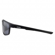 ���� �������������� ALPINA Defey Black Matt/Black Cat.3