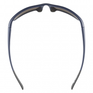 ���� �������������� ALPINA Defey Black Matt/Blue Mirror Cat.3