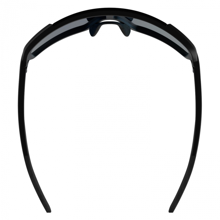 ���� �������������� ALPINA Lumin Black Matt/Blue Mirror Cat.3