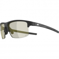 ���� �������������� ALPINA Eagle Q-Lite Black Matt/Silver Mirror Cat.3